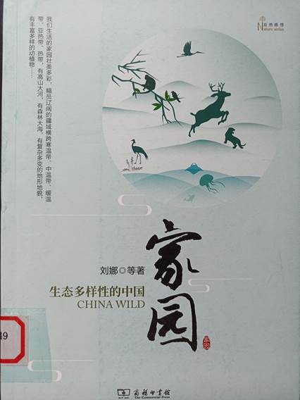 图示, 示意图 中度可信度描述已自动生成:ver1