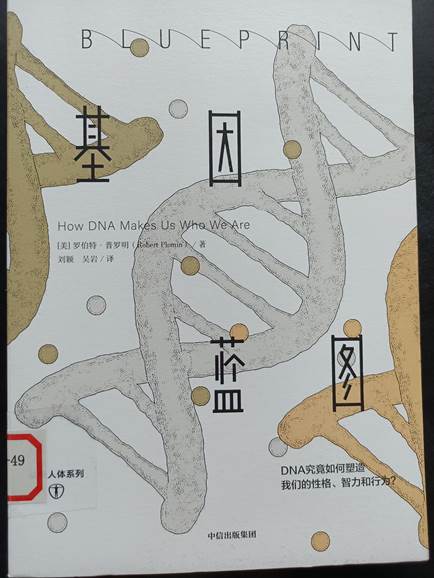 图示, 示意图 中度可信度描述已自动生成:ver1